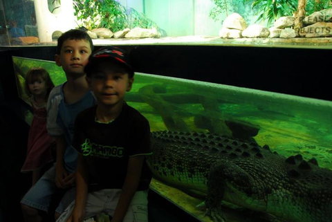 SEA LIFE Sydney Aquarium Entrance Ticket - Accommodation Cairns 22