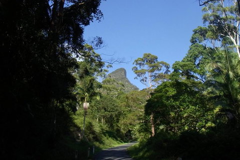 Mount Warning Day Trip From Byron Bay Including BBQ Lunch - Accommodation Cairns 6