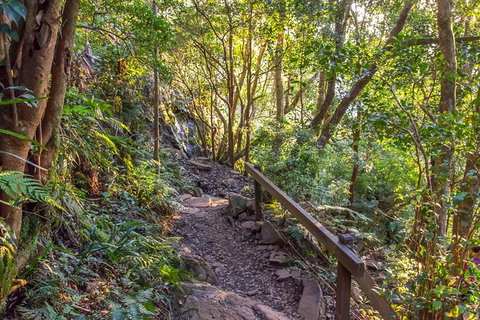 Mount Warning Day Trip From Byron Bay Including BBQ Lunch - Accommodation Cairns 9