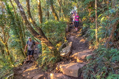 Mount Warning Day Trip From Byron Bay Including BBQ Lunch - Accommodation Cairns 11