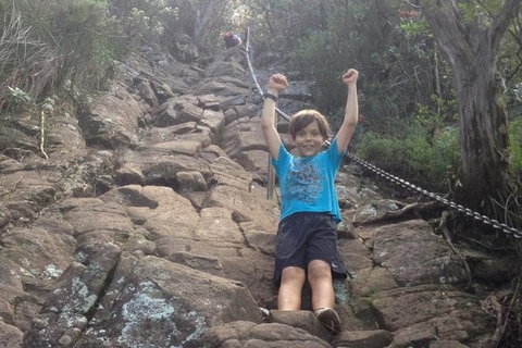 Mount Warning Day Trip From Byron Bay Including BBQ Lunch - Accommodation Cairns 8