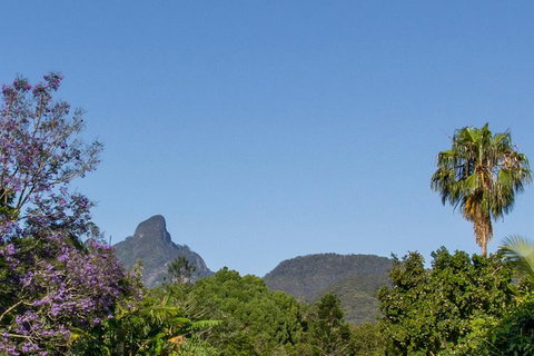 Mount Warning Day Trip From Byron Bay Including BBQ Lunch - Accommodation Cairns 3