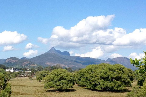 Mount Warning Day Trip From Byron Bay Including BBQ Lunch - Accommodation Cairns 7