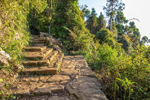 Mount Warning Day Trip From Byron Bay Including BBQ Lunch - Accommodation Cairns 10