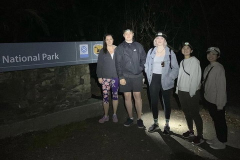 Byron Bay Surfing Lesson And Mount Warning Sunrise Climb Including Overnight Camping And BBQ Dinner - Accommodation Cairns 13
