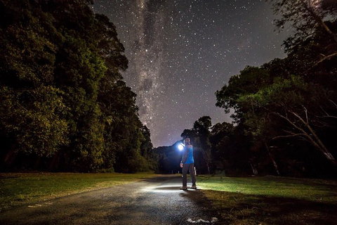 Byron Bay Surfing Lesson And Mount Warning Sunrise Climb Including Overnight Camping And BBQ Dinner - Accommodation Cairns 6