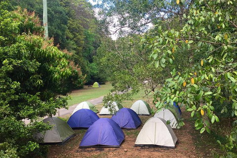 Byron Bay Surfing Lesson And Mount Warning Sunrise Climb Including Overnight Camping And BBQ Dinner - Accommodation Cairns 18