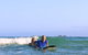 Byron Bay Surfing Lesson And Mount Warning Sunrise Climb Including Overnight Camping And BBQ Dinner - thumb 3