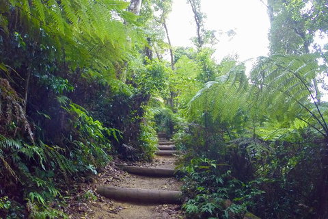 Byron Bay Surfing Lesson And Mount Warning Sunrise Climb Including Overnight Camping And BBQ Dinner - Accommodation Cairns 8