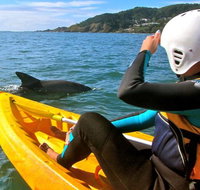 Byron Bay Combo Hinterland Tour Including Minyon Falls and Kayaking with Dolphins - Accommodation Cairns
