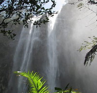 Minyon Falls Rainforest Walk - Accommodation Cairns