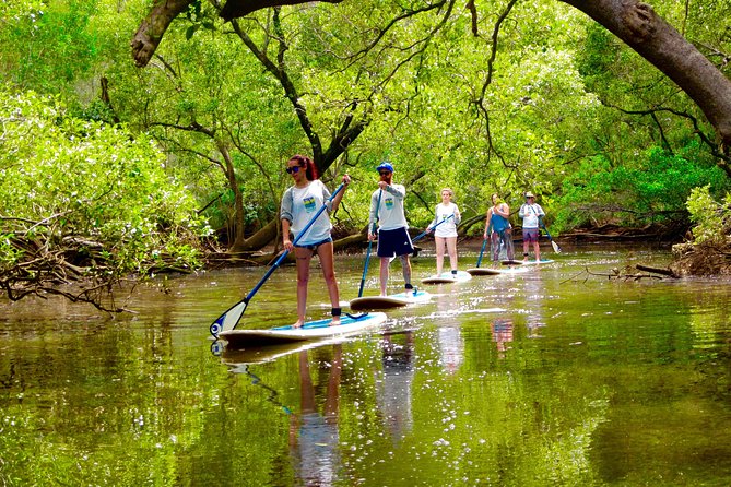 Hayters Hill NSW Accommodation Cairns