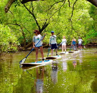 Byron Stand Up Paddle Nature Tour - Accommodation Cairns