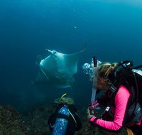 5-Hour Byron Bay Introductory Scuba Diving Tour - Accommodation Cairns