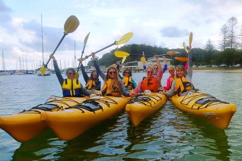 Half-Day Sydney Middle Harbour Guided Kayaking Eco Tour - Accommodation Cairns 1