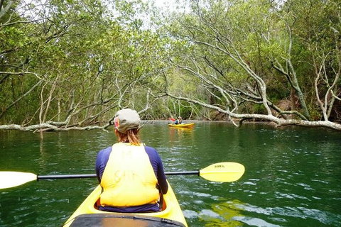 Half-Day Sydney Middle Harbour Guided Kayaking Eco Tour - Accommodation Cairns 0