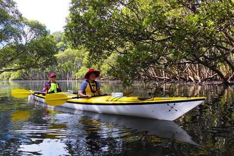 Half-Day Sydney Middle Harbour Guided Kayaking Eco Tour - Accommodation Cairns 10