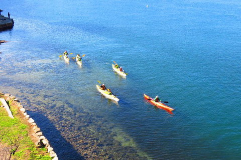 Half-Day Sydney Middle Harbour Guided Kayaking Eco Tour - Accommodation Cairns 8