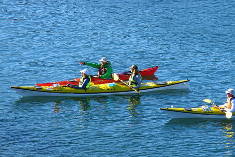 Half-Day Sydney Middle Harbour Guided Kayaking Eco Tour - Accommodation Cairns 3