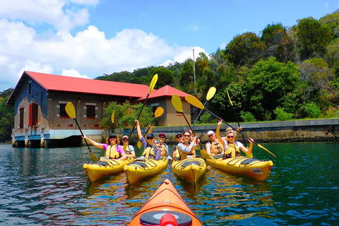 Half-Day Sydney Middle Harbour Guided Kayaking Eco Tour - Accommodation Cairns 4