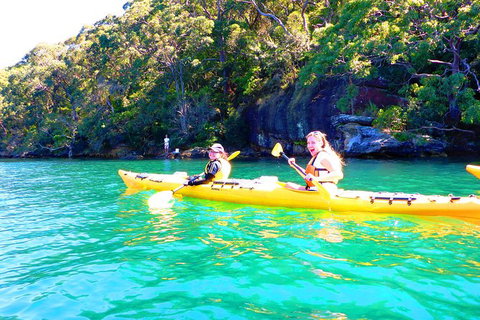 Half-Day Sydney Middle Harbour Guided Kayaking Eco Tour - Accommodation Cairns 9
