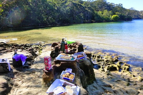 Half-Day Sydney Middle Harbour Guided Kayaking Eco Tour - Accommodation Cairns 6