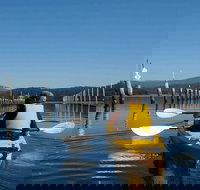 Batemans Bay Oyster Tasting Kayak Tour - Accommodation Cairns