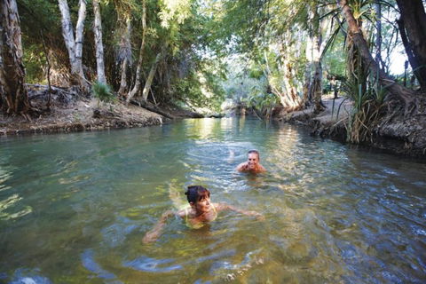 14 Day Dinos, Crocs And Gold - Accommodation Cairns 6