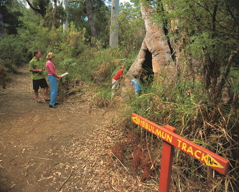 Bibbulmun Track - Accommodation Cairns 1