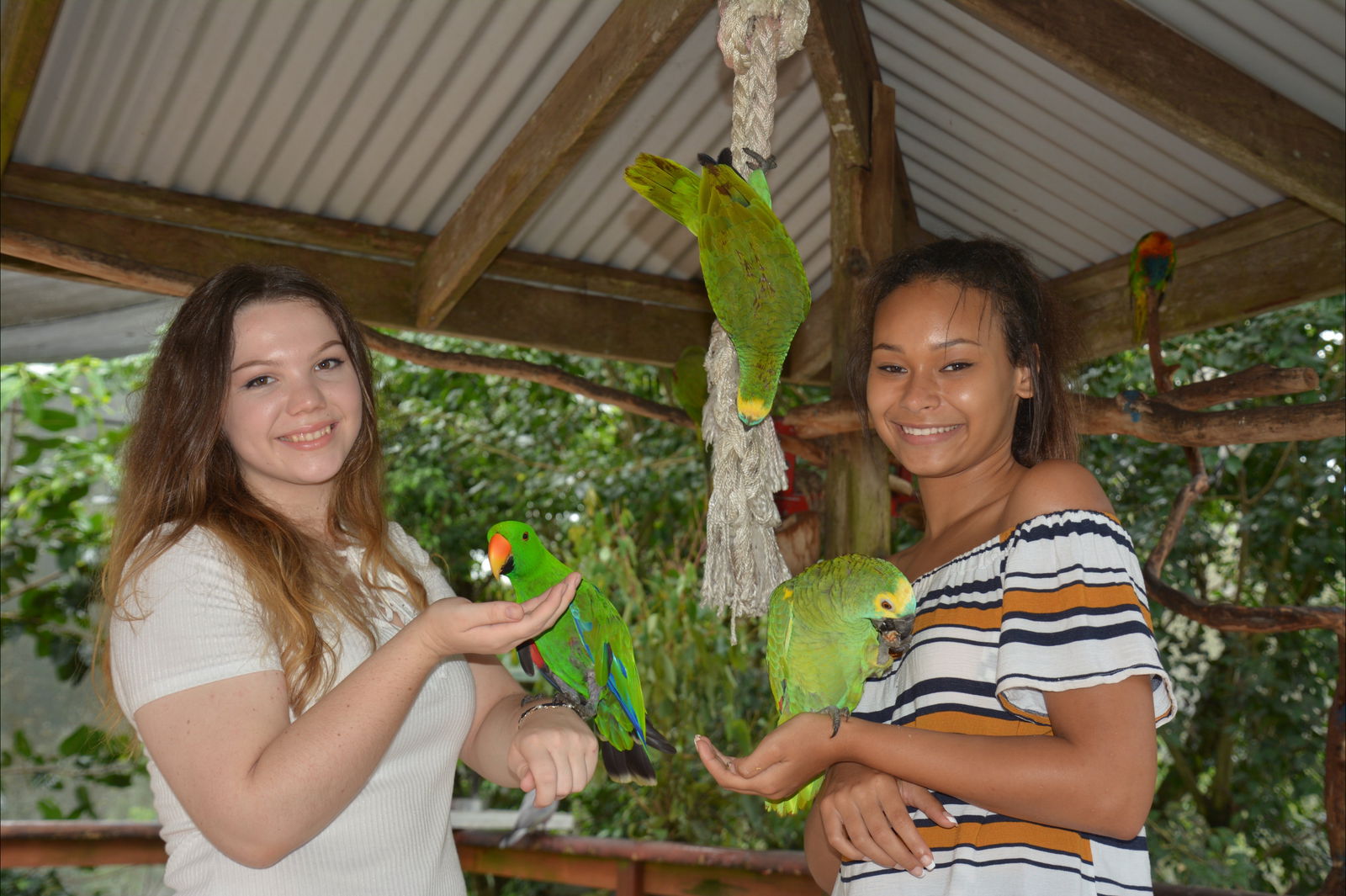 Aquariums Kuranda QLD Accommodation Cairns
