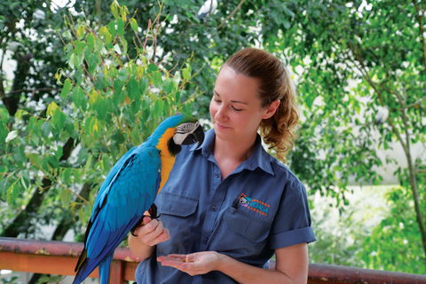 Birdworld Kuranda - Accommodation Cairns 1