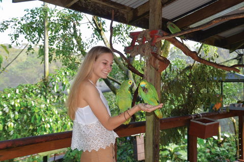 Birdworld Kuranda - Accommodation Cairns 2