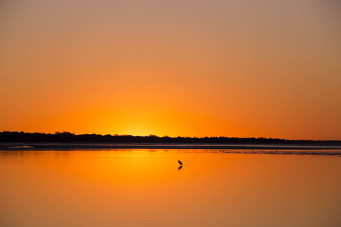 Birdwatching On The Fraser Coast - Accommodation Cairns 1