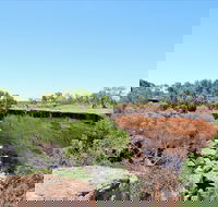 Bladensburg National Park - Accommodation Cairns