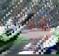 Buxton Trout and Salmon Farm