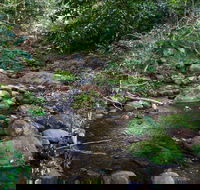 Cascades picnic area - Accommodation Cairns