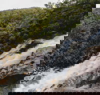 Davies Creek National Park and Dinden National Park