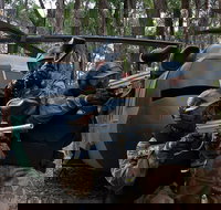 Delta Force Paintball Appin - Accommodation Cairns