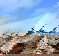 Dirk Hartog Island National Park - Accommodation Cairns