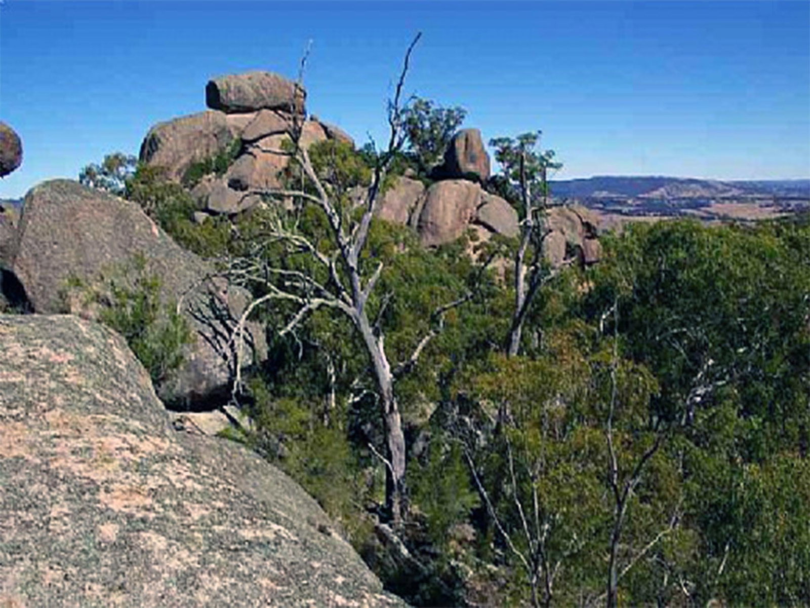Tarana NSW Accommodation Cairns