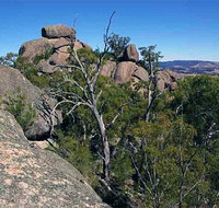 Evans Crown Nature Reserve - Accommodation Cairns