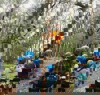 Forest Adventures South West - Accommodation Cairns