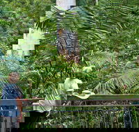 Grandis Picnic Area - Accommodation Cairns