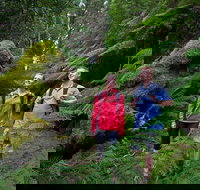 Grand Strzelecki Track - Accommodation Cairns