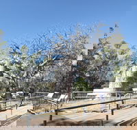 Gregory's Tree Timber Creek - Accommodation Cairns