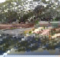 Green Corridor Walking Track - Accommodation Cairns