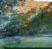 Griffins walking track - Accommodation Cairns