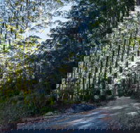 Hastings Forest Way Touring Route - Accommodation Cairns