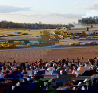 Ipswich Motorsport Precinct - Accommodation Cairns