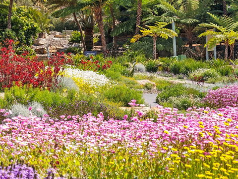 Jurassic Garden AR Experience - Accommodation Cairns 0
